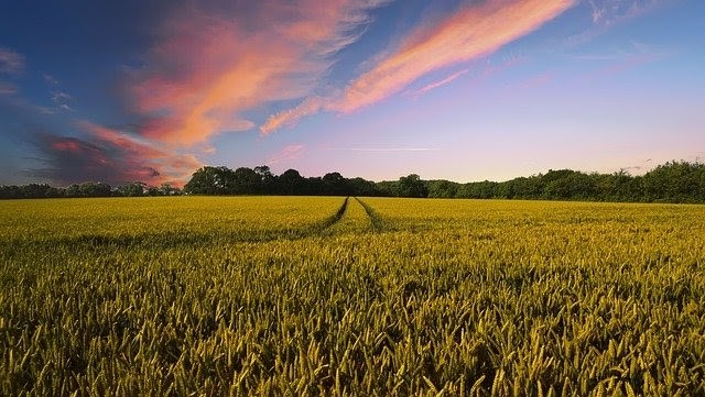 Agrarlandschaft vor Sonnenuntergang Agrarlandschaft vor Sonnenuntergang